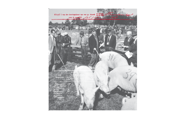 Foto van translucente paneel ''Vleeskeuring '' Foto van translucente paneel ''Vleeskeuring ''
